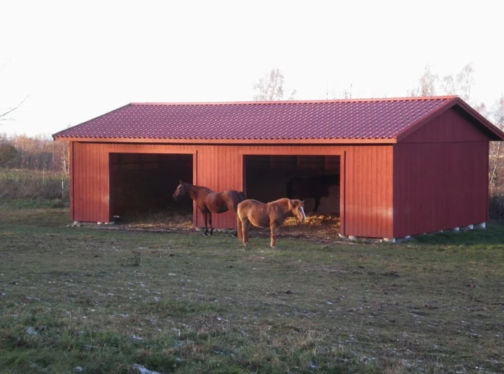 Ligghall för hästar